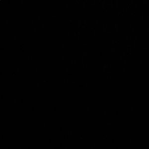 Meet your Posher, Brigette